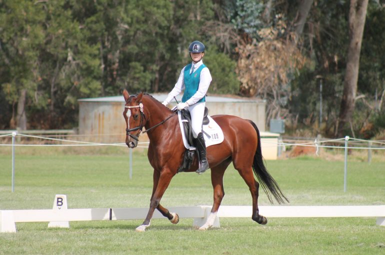 Equestrian Interschool Competition