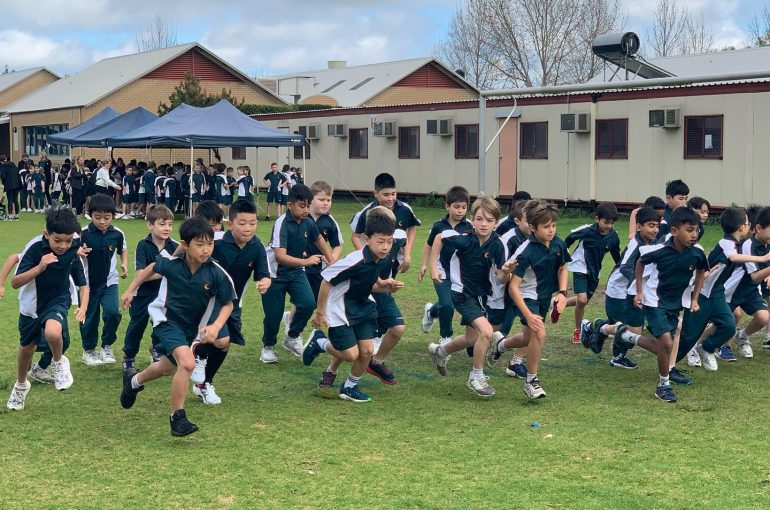 Harrisdale Primary Cross Country