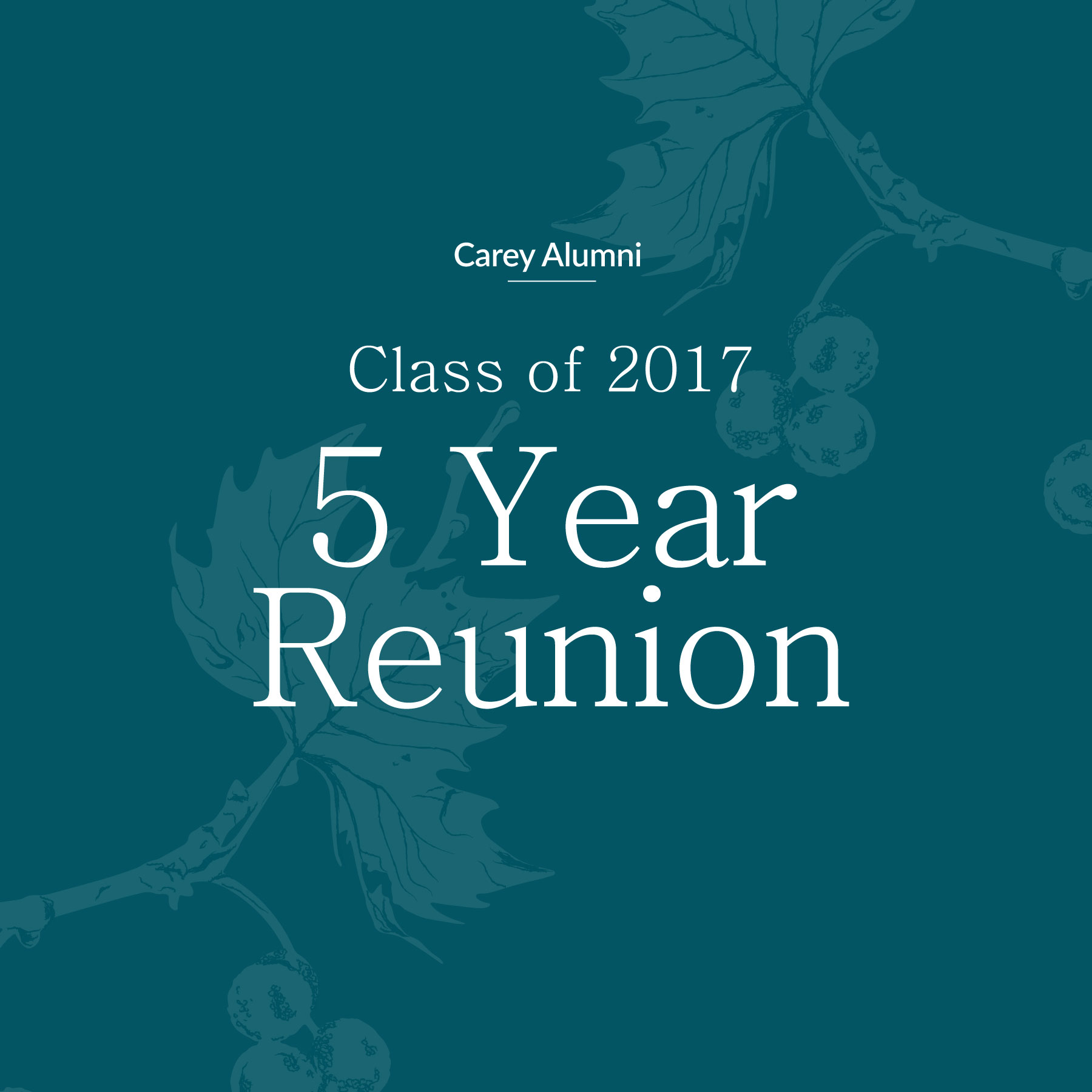 2017-Alumni-Reunion-Gallery-Icon